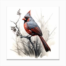 Cardinal Canvas Print