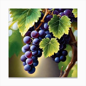 Grapes On The Vine 23 Canvas Print
