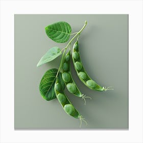 Pea Pods Canvas Print