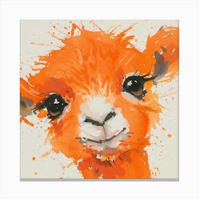 Llama Canvas Print