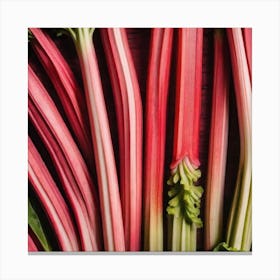 Rhubarb As A Frame Mysterious (1) Canvas Print