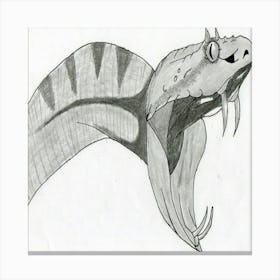 python Canvas Print