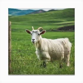 Goat In A Field Canvas Print