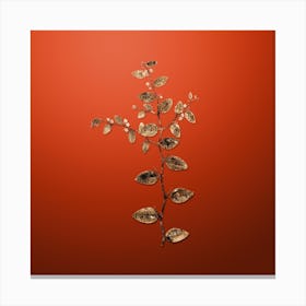 Gold Botanical Christ's Thorn on Tomato Red Canvas Print