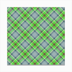 Plaid Fabric 24 Canvas Print