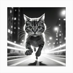 Cat In The City 4 Canvas Print