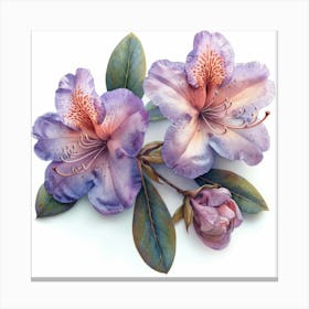 Azaleas 1 Canvas Print