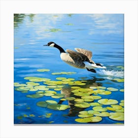 Canadian Geese 36 Canvas Print