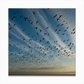 Flock Of Geese Canvas Print