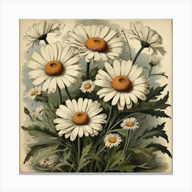 Oxeye Daisy Floral Botanical Vintage Poster Flower Art print Canvas Print