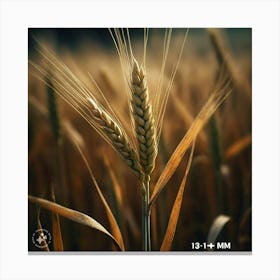 Wheat In The Field Canvas Print