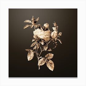 Gold Botanical Cabbage Rose on Chocolate Brown n.2850 Canvas Print