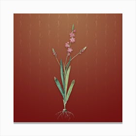 Vintage Ixia Scillaris Botanical on Falu Red Pattern n.0897 Canvas Print