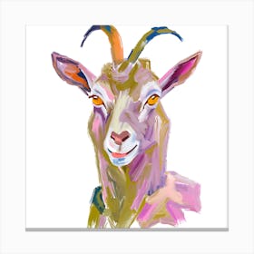 Goat 06 1 Canvas Print