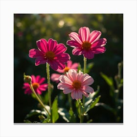 Cosmos Flower Canvas Print