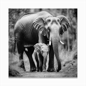 Mother And Baby Elephant Canvas Print