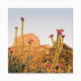 Skinny Cactus Sunset Square Canvas Print