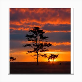 Sunset With Trees Canvas Print