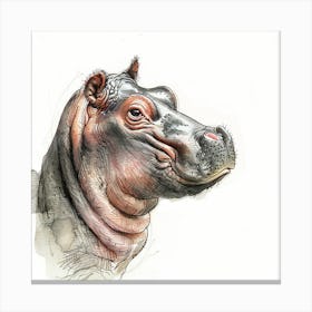 Hippo 1 Canvas Print