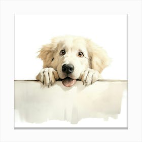 White Retriever Dog Canvas Print