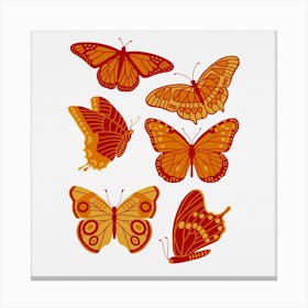 Texas Butterflies   Orange And Yellow Square Canvas Print