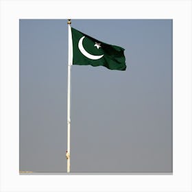 Pakistan Flag Canvas Print