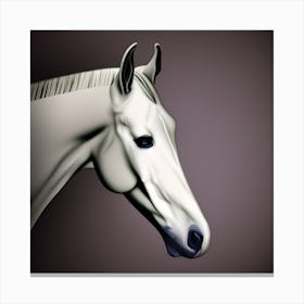 White Horse (1) Canvas Print