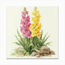 Gladiolas Art Canvas Print