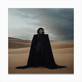 Star Wars The Last Jedi Canvas Print