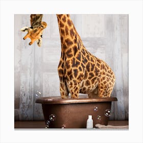 Giraffe In The Tub Square Canvas Print