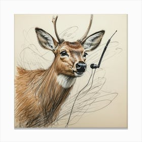 Deer Drawing 48 Canvas Print