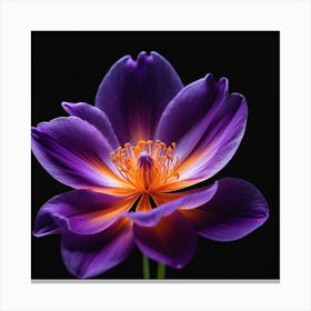 Purple Lotus Flower Canvas Print