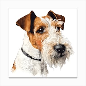 Fox Terrier's Gaze Canvas Print