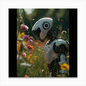 Robot In The Field Canvas Print