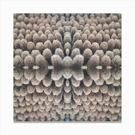 Brown texture Canvas Print