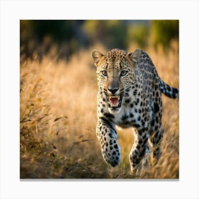Leopard Running In The Grass 1 Canvas Print