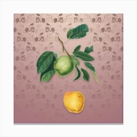 Vintage Apple Botanical on Dusty Pink Pattern n.2080 Canvas Print