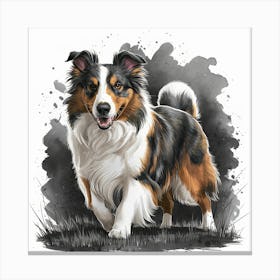 Australian Shepherd 2 Canvas Print