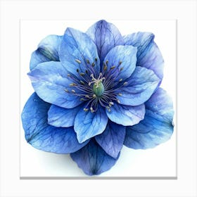 Blue Clematis Flower 3 Canvas Print