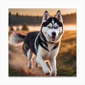 Siberian Husky Running Canvas Print