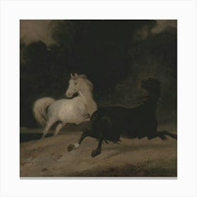 Horses 4 Canvas Print