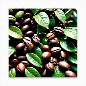 Coffee Beans 20 Canvas Print