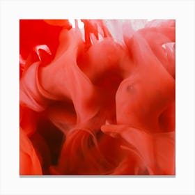 Close Up Of Red Liquid Canvas Print