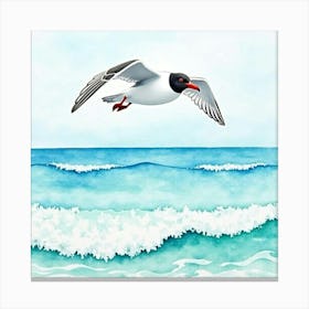 Seagull Flying Canvas Print