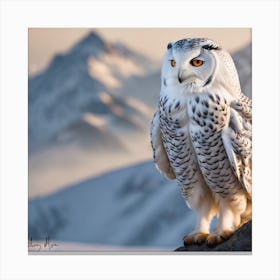 Arctic snowy Owl Canvas Print