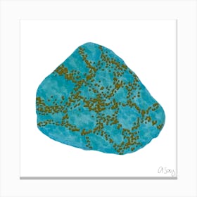 Turquoise Stone Canvas Print