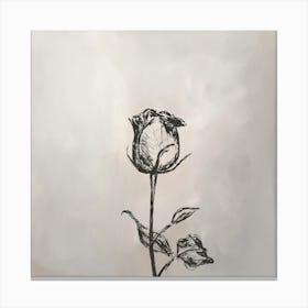 Single Rose Line Art Canvas Print