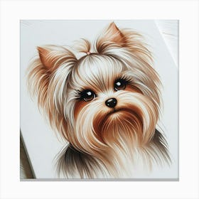 A yorkie female 5 Canvas Print