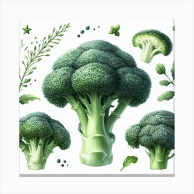 Broccoli 3 Canvas Print