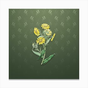 Vintage Madia Flower Botanical on Lunar Green Pattern n.0994 Canvas Print